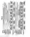 Fig. 09 - Image capture apparatus and image capture method in which an image is processed by a plurality of image processing devices