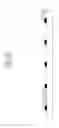 Fig. 05 - Color filter array substrate and fabricating method thereof
