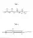 Fig. 08 - Loader and bonding apparatus for fabricating liquid crystal display device and loading method thereof