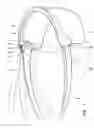 Fig. 02 - Glasses