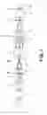 Fig. 02 - Illumination system and exposure apparatus