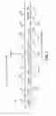 Fig. 02 - Cavity ring-down detection of surface plasmon resonance in an optical fiber resonator