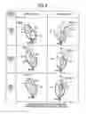 Fig. 09 - Vehicle lighting apparatus