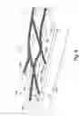 Fig. 09 - Nanoscopic wire-based devices and arrays