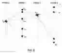 Fig. 08 - Lifting-based implementations of orthonormal spatio-temporal transformations