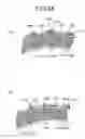 Fig. 32 - Cask and method of manufacturing the cask