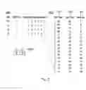 Fig. 06 - Encoding and detecting apparatus