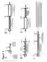 Fig. 02 - Recombinant production of polyanionic polymers, and uses thereof