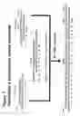 Fig. 03 - Recombinant production of polyanionic polymers, and uses thereof