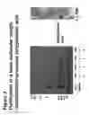 Fig. 04 - Recombinant production of polyanionic polymers, and uses thereof
