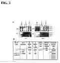 Fig. 03 - Method of using mesenchymal stromal cells to increase engraftment