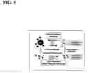 Fig. 06 - Method of using mesenchymal stromal cells to increase engraftment