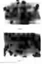 Fig. 06 - Methods of controlling proliferation and differentiation of stem and progenitor cells