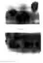 Fig. 07 - Methods of controlling proliferation and differentiation of stem and progenitor cells