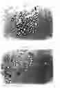 Fig. 22 - Methods of controlling proliferation and differentiation of stem and progenitor cells