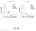 Fig. 06 - Antitumor effect of mutant Bik
