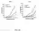 Fig. 07 - Antitumor effect of mutant Bik