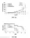Fig. 09 - Antitumor effect of mutant Bik