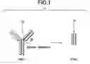 Fig. 02 - Parenteral pharmaceutical composition containing humanized monoclonal antibody fragment and stabilizing method thereof