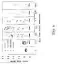 Fig. 07 - Compositions and methods for enhancing the immunogenicity of antigens