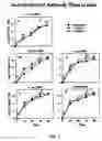 Fig. 02 - Multi-component vaccine comprising at least two antigens from Haemophilus influenzae to protect against disease