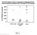 Fig. 08 - Multi-component vaccine comprising at least two antigens from Haemophilus influenzae to protect against disease