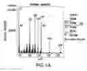 Fig. 02 - Polysaccharides of 