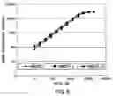 Fig. 06 - Process for covalently conjugating polysaccharides to microspheres or biomolecules