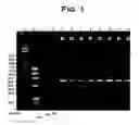 Fig. 02 - Vaccines for and methods of use