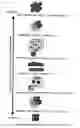 Fig. 02 - Methods for controlling membrane permeability of a membrane permeable substance and screening methods for a membrane permeable substance