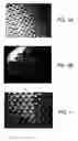 Fig. 04 - Bioactive, resorbable scaffolds for tissue engineering