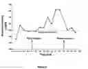 Fig. 07 - Platform for transdermal formulations (ptf)