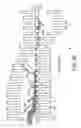 Fig. 09 - Method and apparatus for making a tablet product