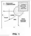 Fig. 02 - Compositions and methods for inhibiting 5-alpha reductase