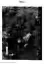 Fig. 03 - Maltitol crystals containing crystal of saccharide except maltitol and method for production thereof