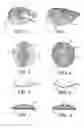 Fig. 02 - Process and apparatus for forming a wave chip product