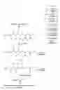 Fig. 02 - Method for enhancing acrylamide decomposition