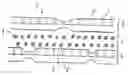 Fig. 01 - Composite with an absorbent layer
