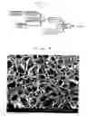 Fig. 02 - Process for producing foarmed articles and the foamed article