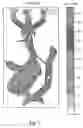 Fig. 03 - Heat shield for a catalytic converter