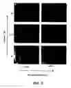Fig. 04 - Electrochemical devices and components thereof