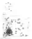 Fig. 07 - Compositions and methods for propagation of neural progenitor cells