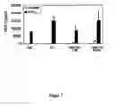 Fig. 08 - Methods and compositions for identification and therapeutic use of genes involved in vascular and proliferative diseases
