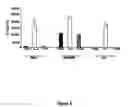 Fig. 09 - Methods and compositions for identification and therapeutic use of genes involved in vascular and proliferative diseases