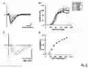 Fig. 03 - Systems and methods for assessing neuronal degeneration