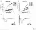 Fig. 04 - Systems and methods for assessing neuronal degeneration