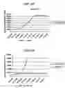 Fig. 06 - Method for detecting human papillomavirus mRNA