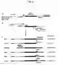 Fig. 03 - Nucleic acid which is stabilized against decomposition