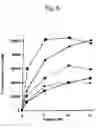 Fig. 06 - Nucleic acid which is stabilized against decomposition