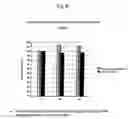 Fig. 09 - Nucleic acid which is stabilized against decomposition